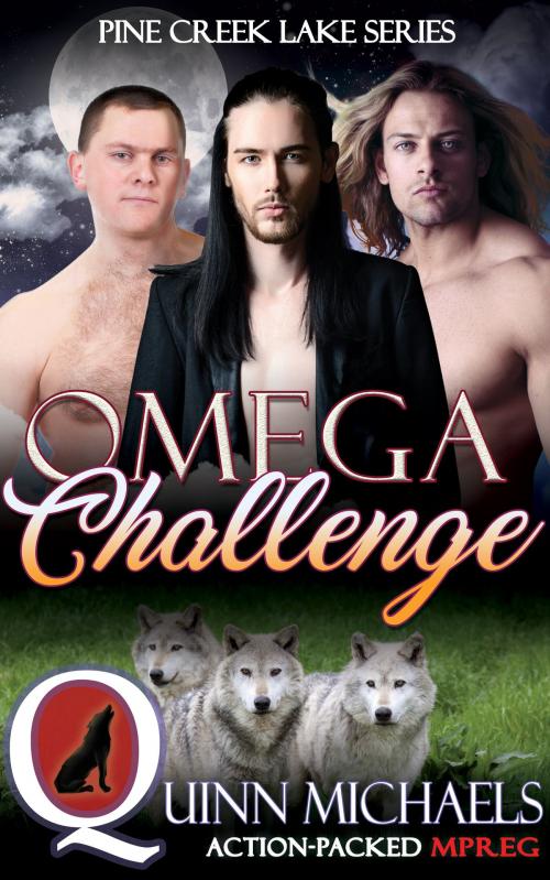 Cover of the book Omega Challenge by Quinn Michaels, Enticed by Books