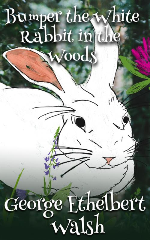 Cover of the book Bumper The White Rabbit In The Woods by George Ethelbert Walsh, Tulip City Publishing