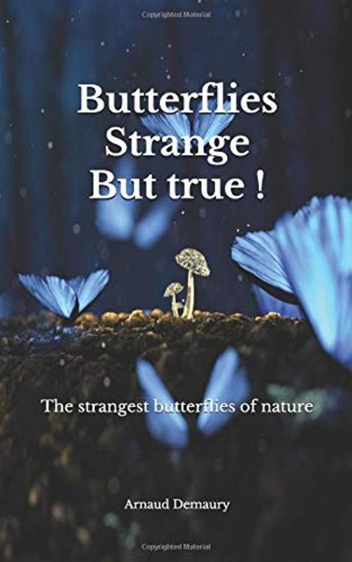 Cover of the book Butterflies Strange but true ! by Arnaud Demaury, Demaury