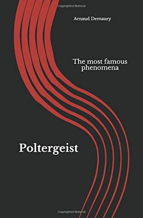 Cover of the book Poltergeist by Arnaud Demaury, Demaury