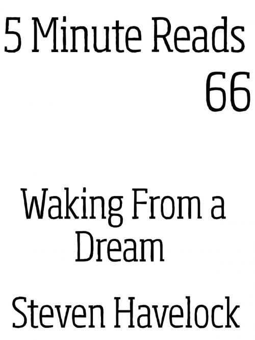 Cover of the book Waking From a Dream by Steven Havelock, Dynamicink09