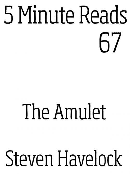 Cover of the book The Amulet by Steven Havelock, Dynamicink09