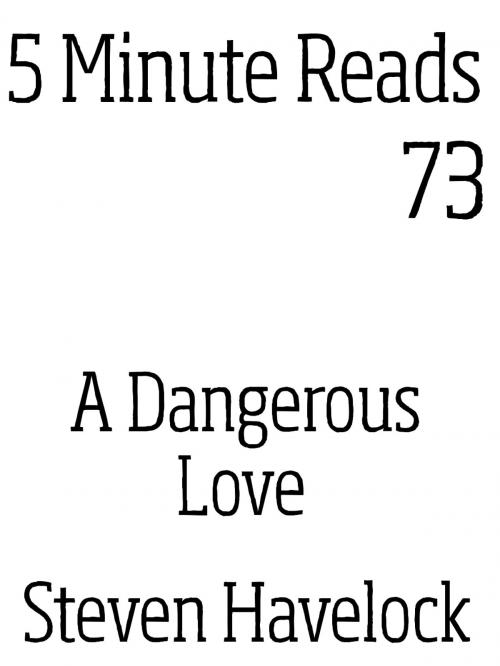 Cover of the book A Dangerous love by Steven Havelock, Dynamicink09