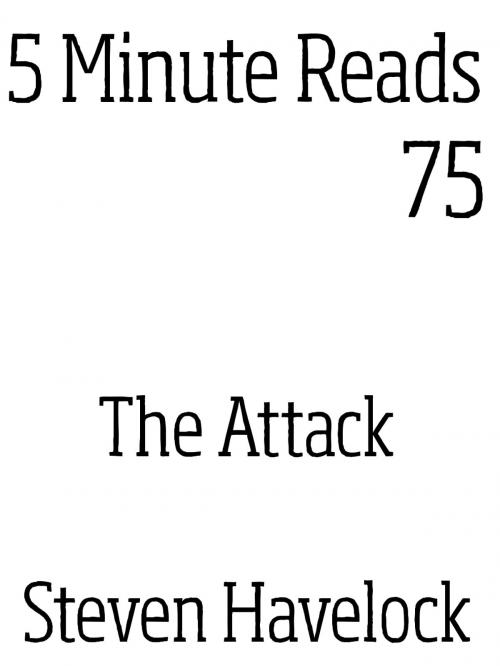 Cover of the book The Attack by Steven Havelock, Dynamicink09