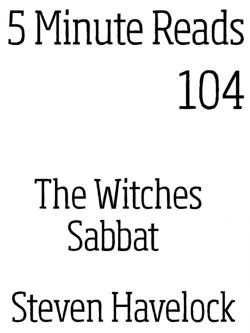 Cover of the book The Witches Sabbat by Steven Havelock, Dynamicink09