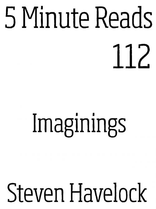Cover of the book Imaginings by Steven Havelock, Dynamicink09