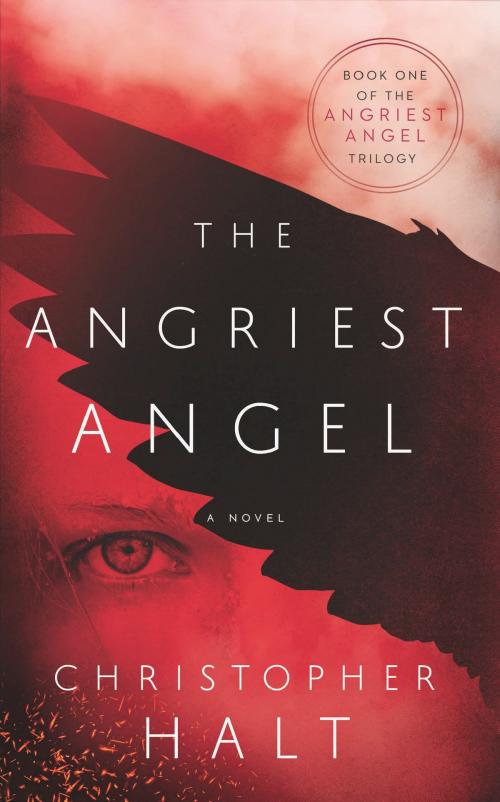 Cover of the book The Angriest Angel by Christopher Halt, CreateSpace