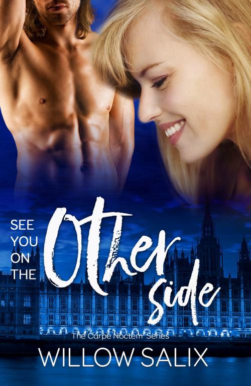 Cover of the book See You on the Other Side by Willow Salix, DragonCat Press