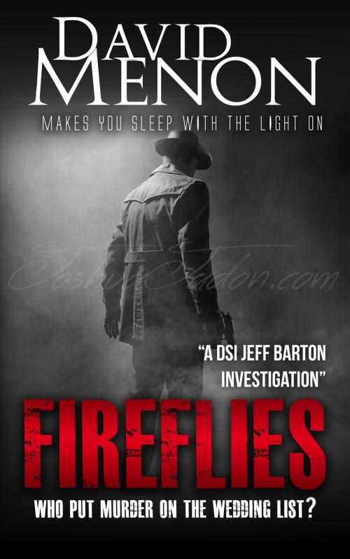 Cover of the book Fireflies by David Menon, Silver Springs Publishing