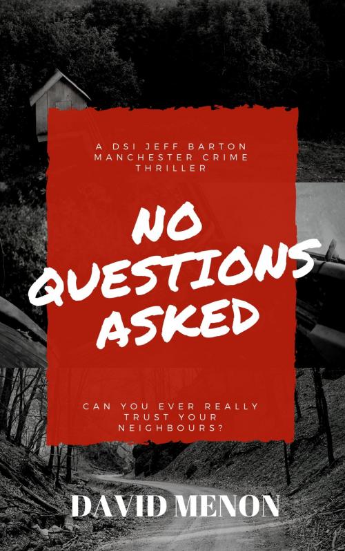 Cover of the book No Questions Asked by David Menon, Silver Springs Publishing