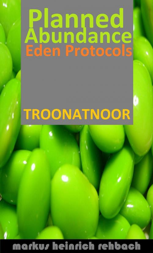 Cover of the book Planned Abundance Eden Protocols by Markus Heinrich Rehbach, Sound Foundations