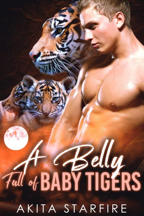 Cover of the book A Belly Full of Baby Tigers by Akita StarFire, PublishDrive