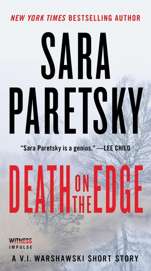 Cover of the book Death on the Edge by Sara Paretsky, Witness Impulse