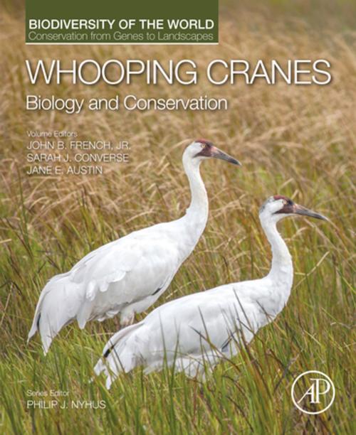 Cover of the book Whooping Cranes: Biology and Conservation by Philip J. Nyhus, John B French, Sarah J. Converse, Jane E. Austin, Elsevier Science
