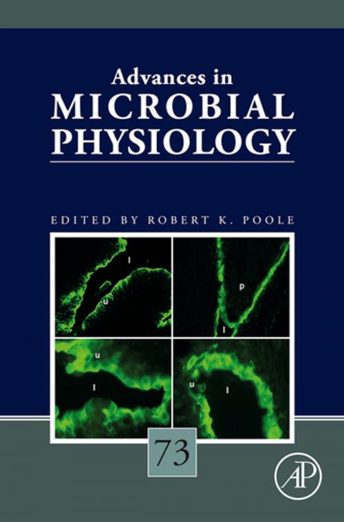 Cover of the book Advances in Microbial Physiology by , Elsevier Science