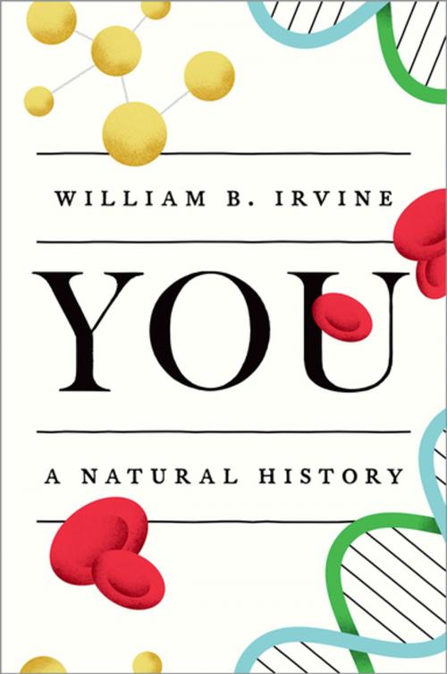 Cover of the book You by William B. Irvine, Oxford University Press