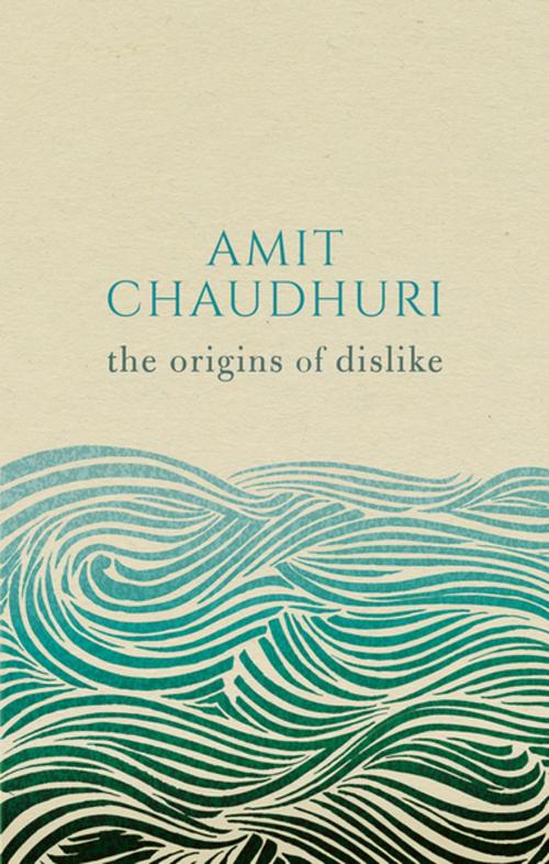 Cover of the book The Origins of Dislike by Amit Chaudhuri, OUP Oxford