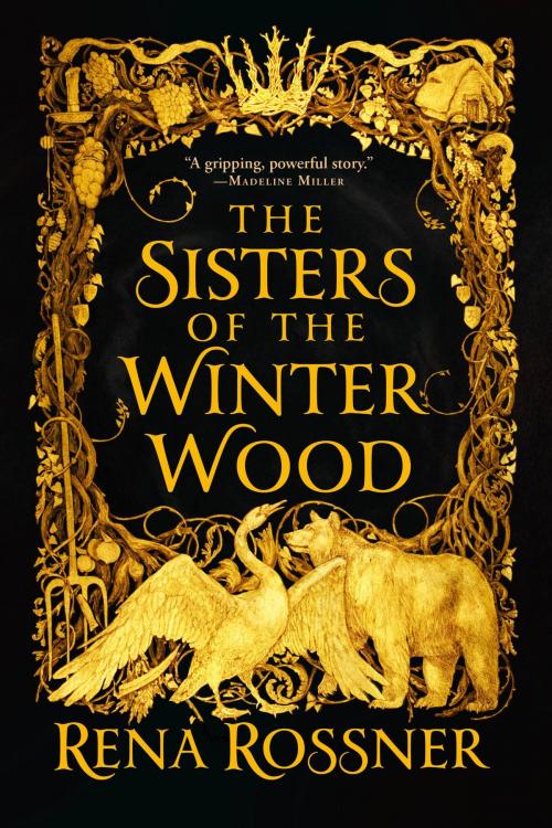 Cover of the book The Sisters of the Winter Wood by Rena Rossner, Orbit