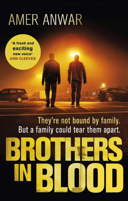 Cover of the book Brothers in Blood by Amer Anwar, Little, Brown Book Group