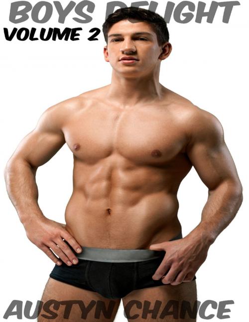 Cover of the book Boys Delight (Volume 2) by Austyn Chance, Lulu.com