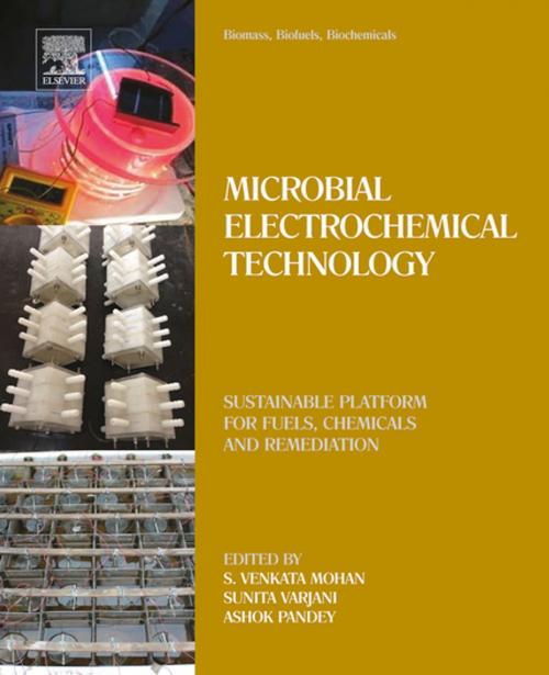 Cover of the book Biomass, Biofuels, Biochemicals by , Elsevier Science