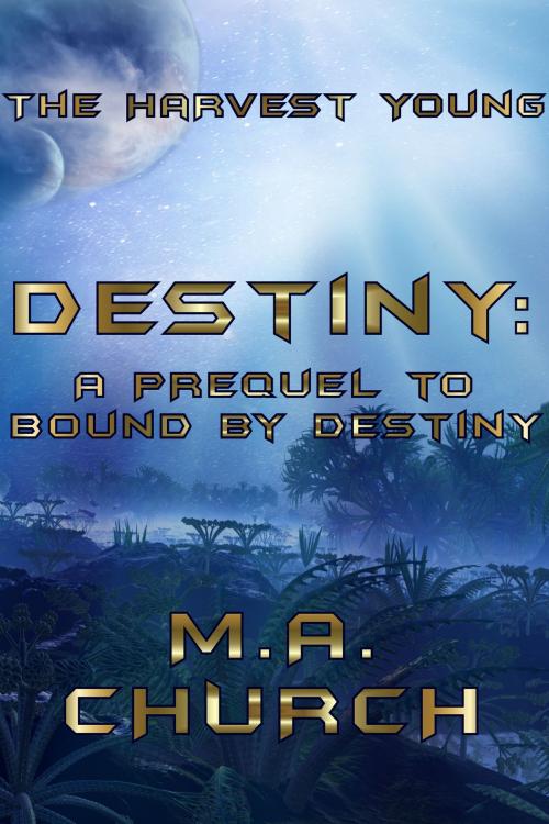 Cover of the book Destiny: A Prequel to Bound by Destiny by MA Church, MA Church