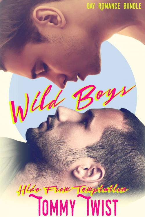 Cover of the book Wild Boys by Tommy Twist, HeartthrobPublishing