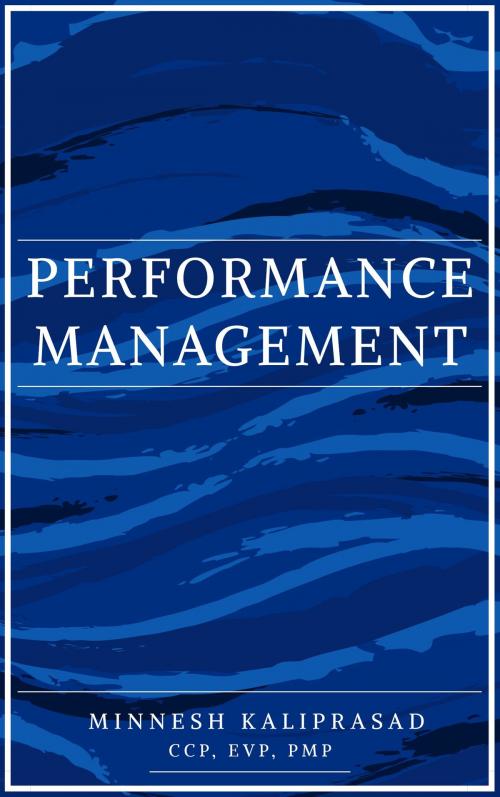 Cover of the book Performance Management by Minnesh Kaliprasad, Minnesh Kaliprasad