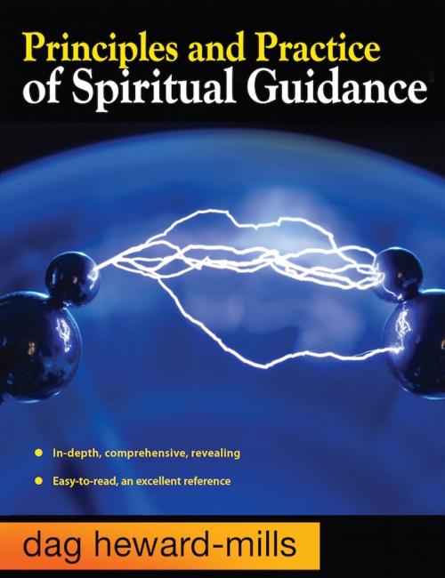 Cover of the book Principles and Practice of Spiritual Guidance by Dag Heward-Mills, Dag Heward-Mills