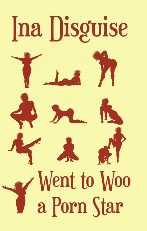 Cover of the book Went to Woo a Porn Star by Ina Disguise, Ina Disguise