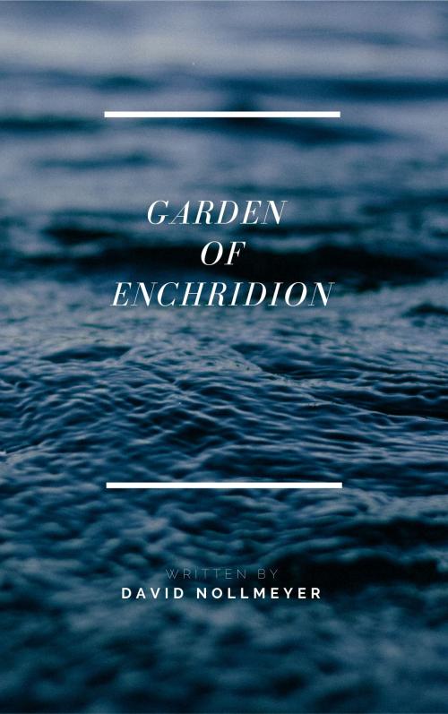 Cover of the book Garden of Enchiridion by David Nollmeyer, David Nollmeyer