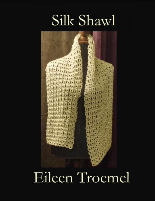 Cover of the book Silk Shawl by Eileen Troemel, Eileen Troemel