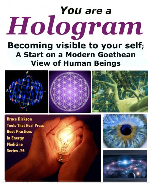 Cover of the book You Are a Hologram Becoming Visible to Your Self; A Start on a Modern Goethean View of Human Beings by Bruce Dickson, Bruce Dickson