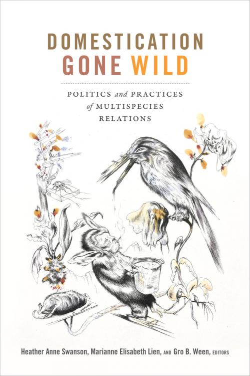 Cover of the book Domestication Gone Wild by , Duke University Press