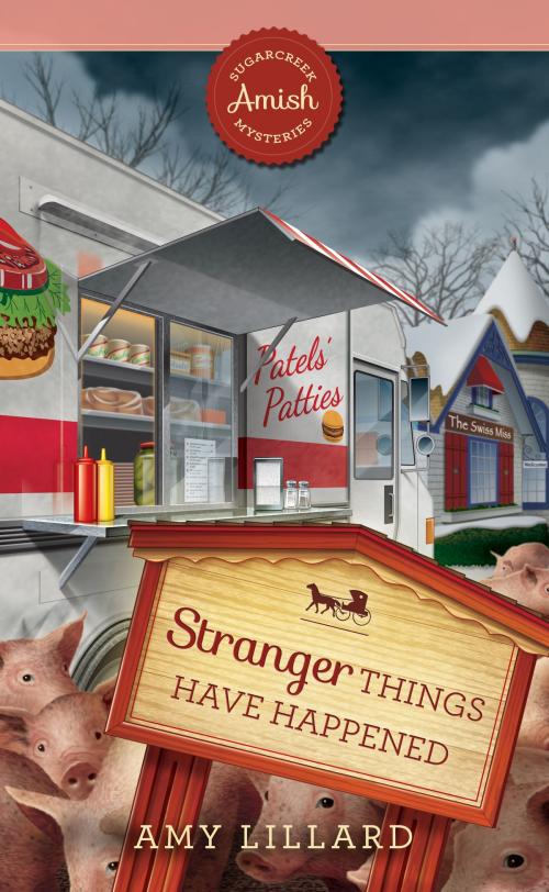 Cover of the book Stranger Things Have Happened by Amy Lillard, LSC-Guideposts