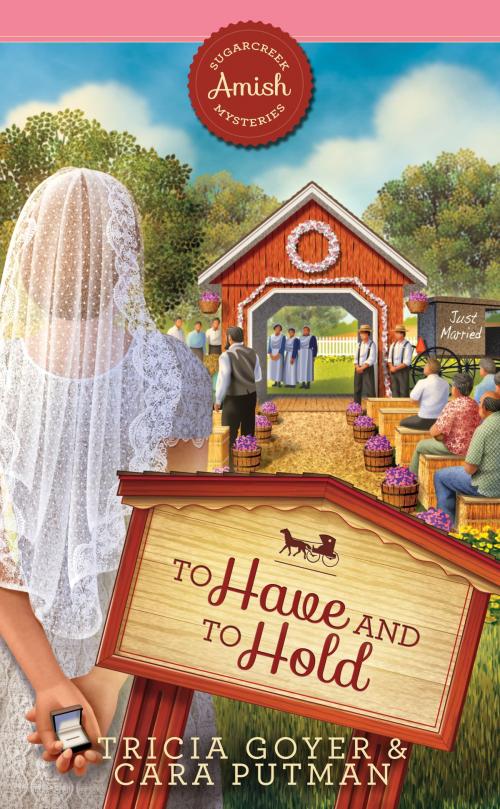Cover of the book To Have and to Hold by Tricia Goyer, LSC-Guideposts