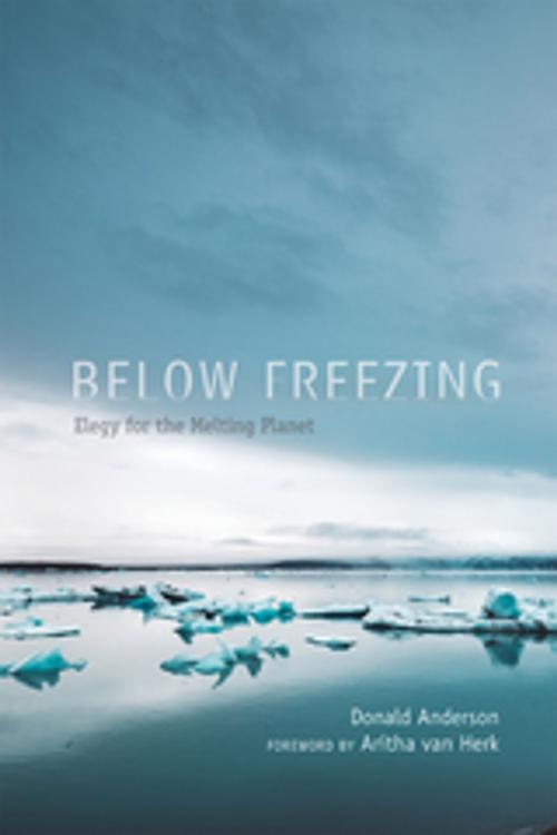 Cover of the book Below Freezing by Donald Anderson, University of New Mexico Press