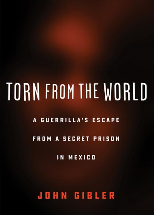Cover of the book Torn from the World by John Gibler, City Lights Publishers