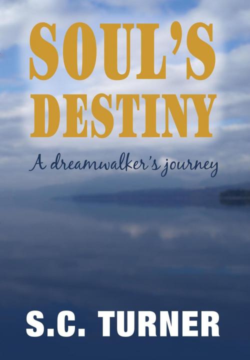 Cover of the book Soul's Destiny - A Dreamwalker's Journey by S.C. Turner, Stuart Aird