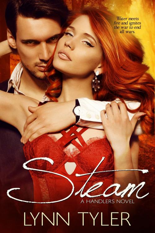 Cover of the book Steam by Lynn Tyler, Lynn Tyler Books