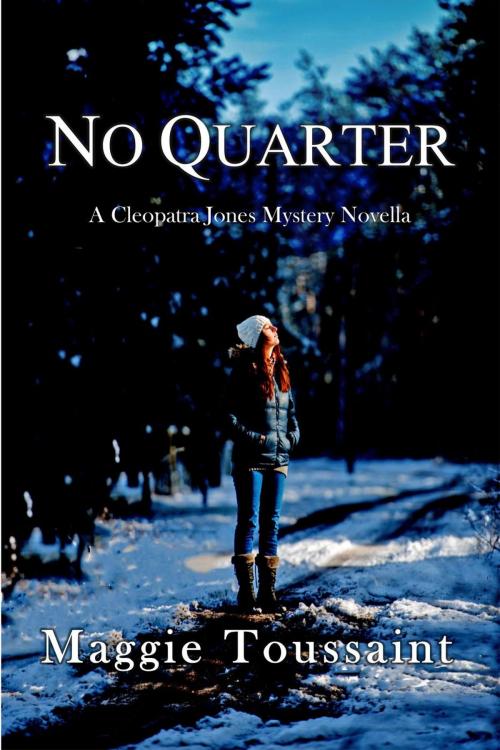 Cover of the book No Quarter by Maggie Toussaint, Muddle House Publishing