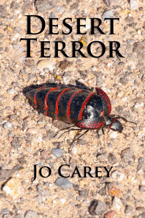 Cover of the book Desert Terror by Jo Carey, Jo Carey