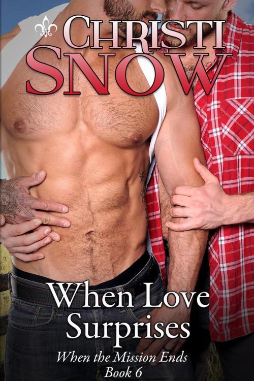 Cover of the book When Love Surprises by Christi Snow, Christi Snow