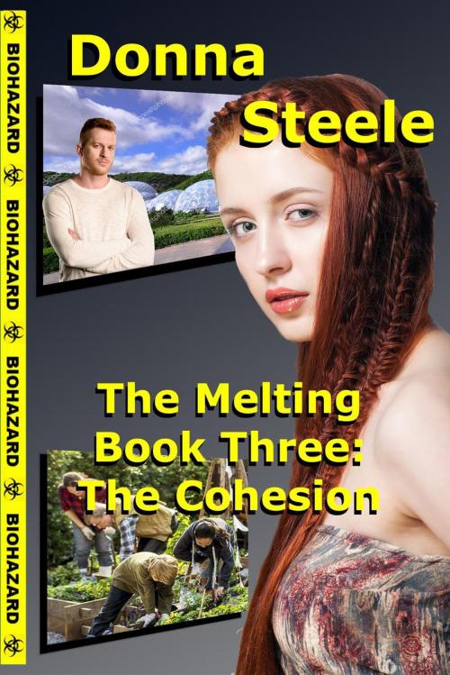 Cover of the book The Cohesion - Book Three by Donna Steele, Donna Steele