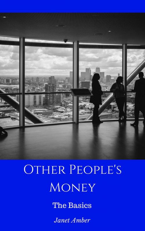 Cover of the book Other People's Money: The Basics by Janet Amber, Personal Growth