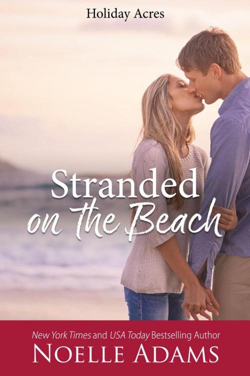 Cover of the book Stranded on the Beach by Noelle Adams, Noelle Adams