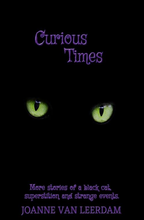 Cover of the book Curious Times by Joanne Van Leerdam, WordyNerdBird