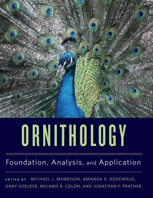 Cover of the book Ornithology by , Johns Hopkins University Press