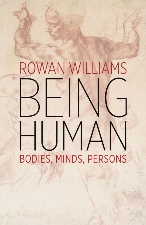 Cover of the book Being Human by Rowan Williams, Wm. B. Eerdmans Publishing Co.