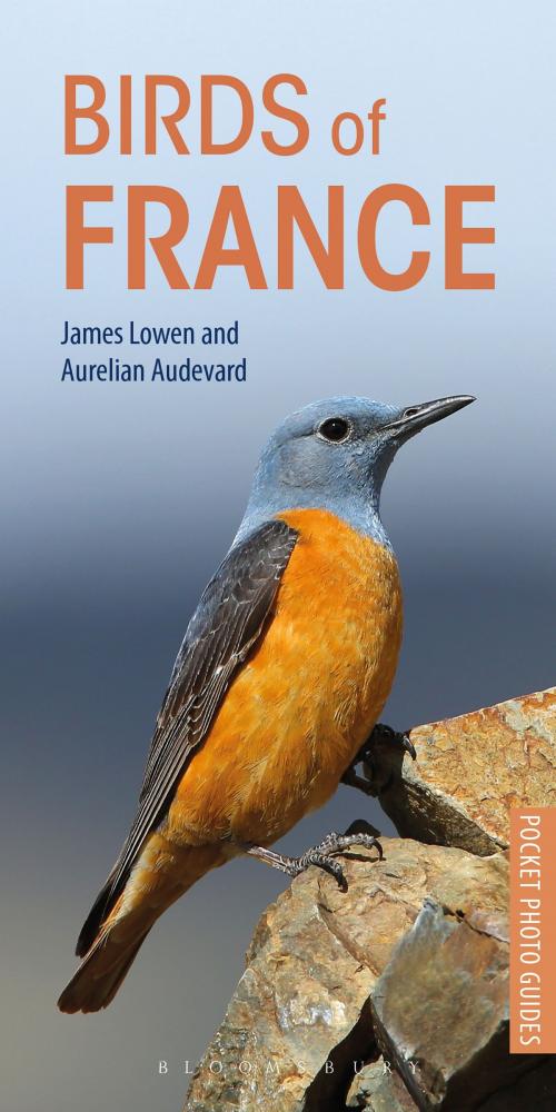 Cover of the book Birds of France by James Lowen, Aurelien Audevard, Bloomsbury Publishing